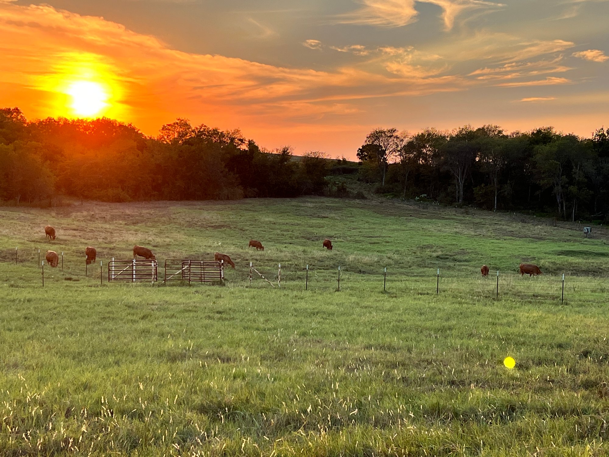 Sunset at 575 Highview Ranch