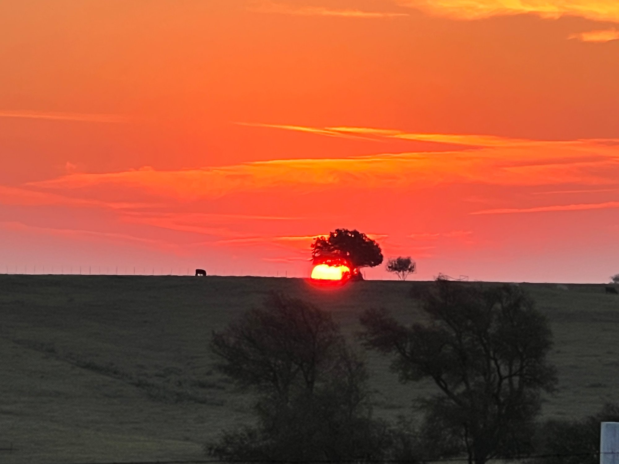Sunrise at 575 Highview Ranch