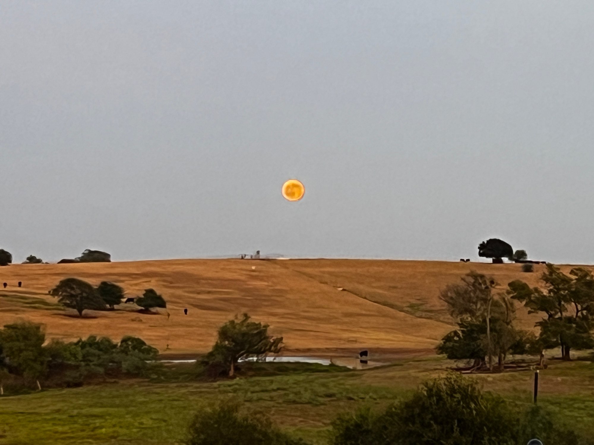 Moonrise at 575 Highview Ranch