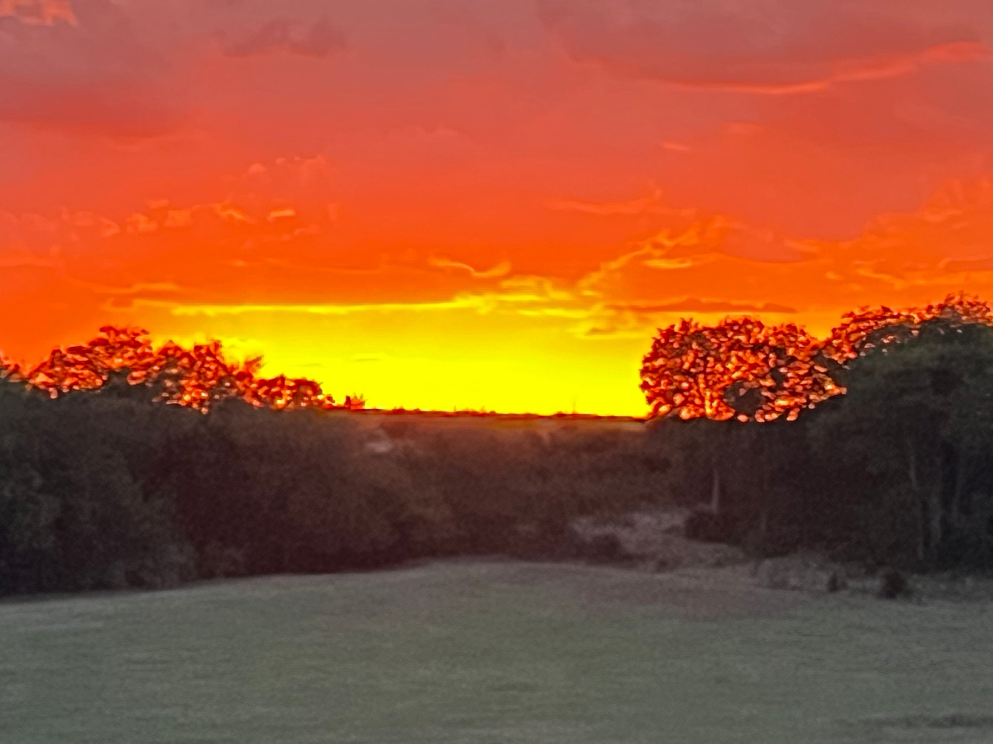 Sunset showing Highlighting the Trees