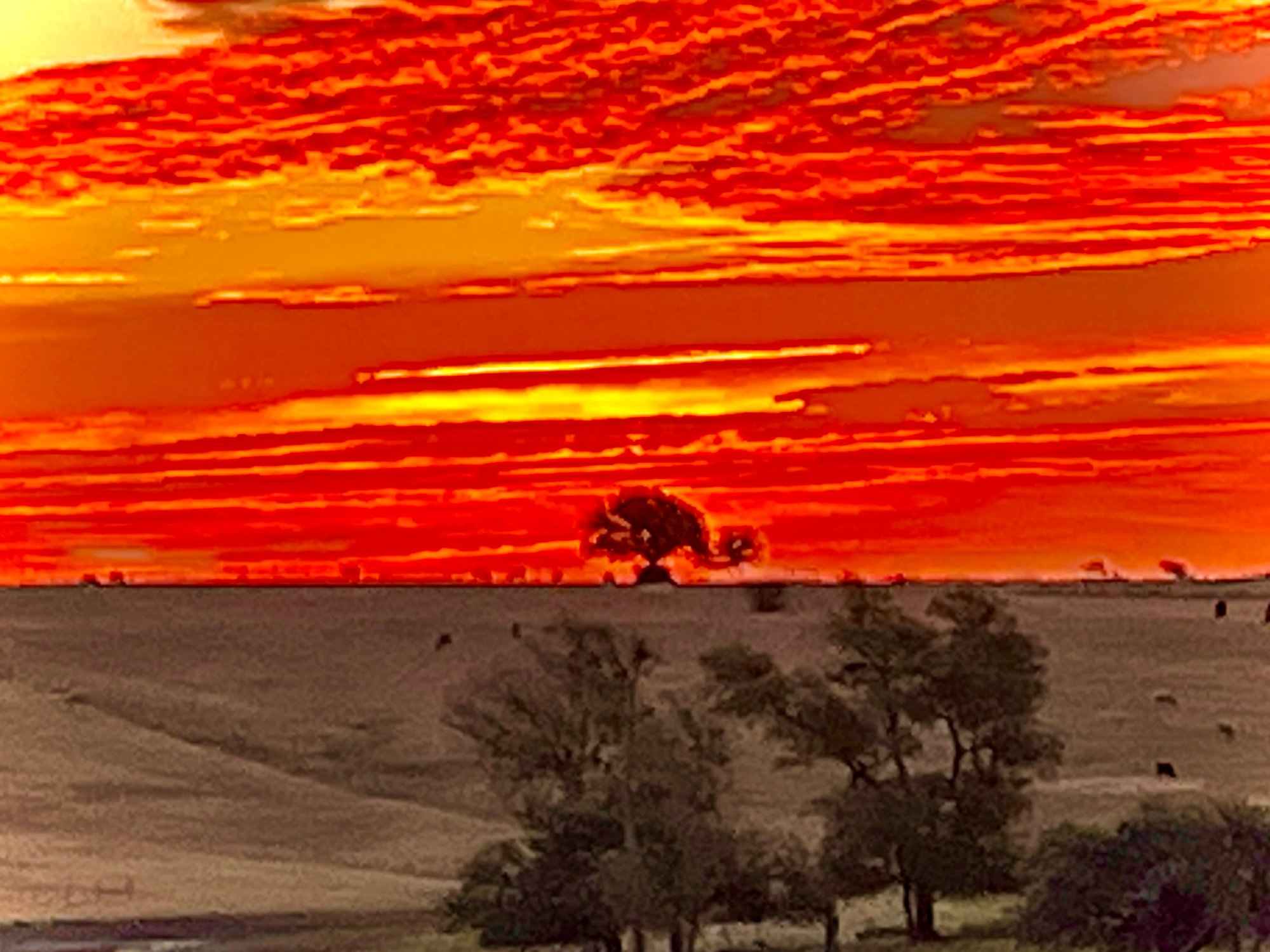 Sunrise at 575 Highview Ranch