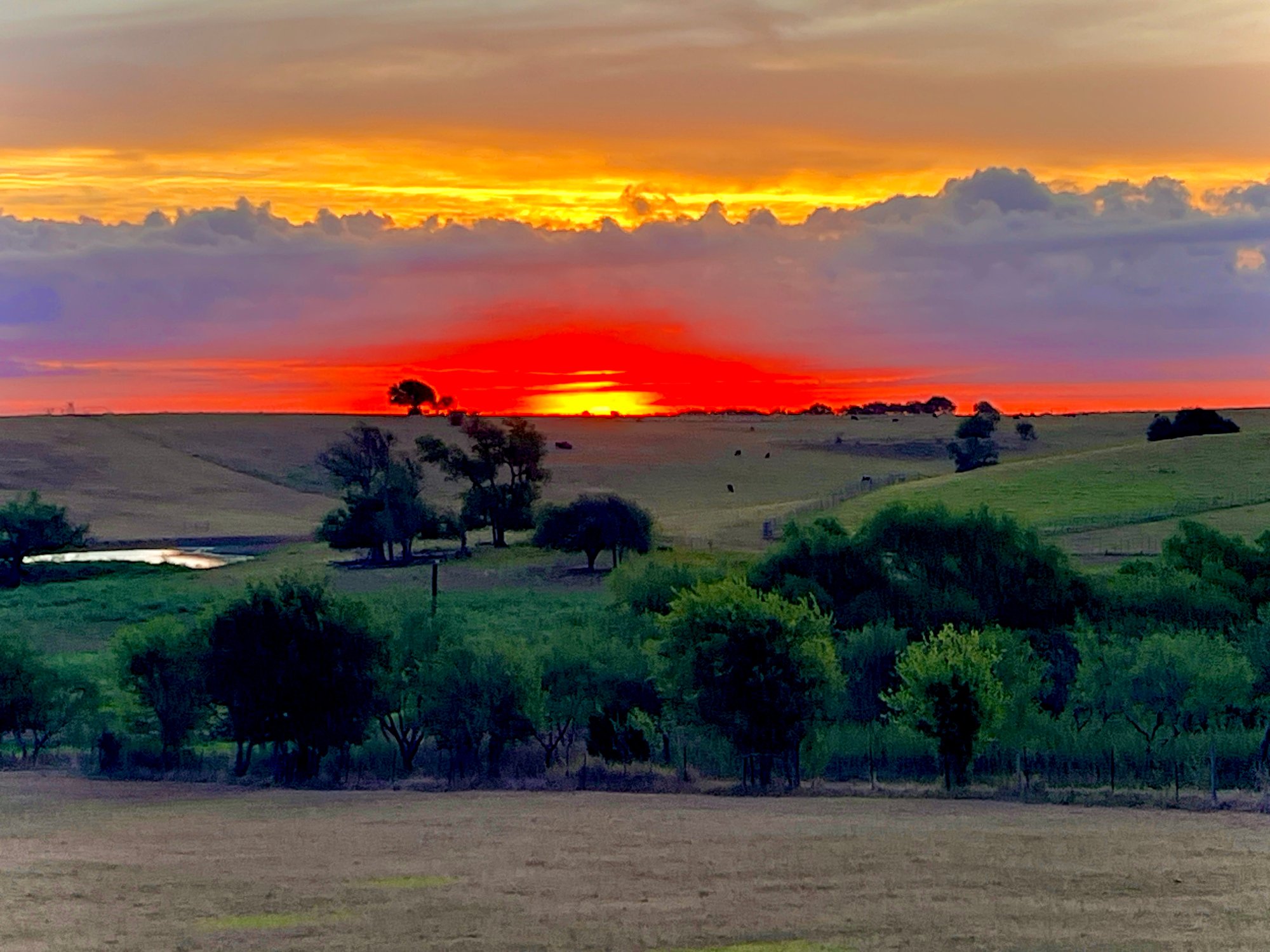 Sunrise on a rainy day at 575 Highview Ranch